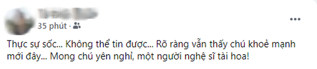MXH Việt bàng hoàng trước sự ra đi của danh hài Chí Tài: Cúi đầu tiễn biệt chú, nụ cười tuổi thơ của con!-3