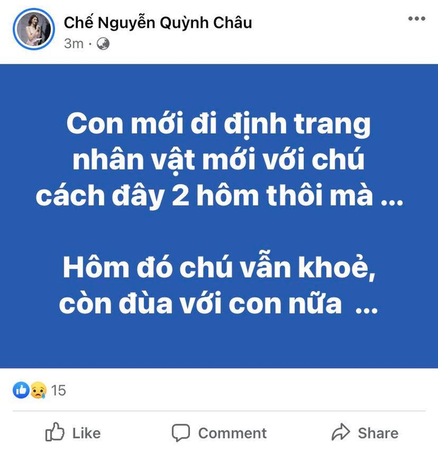 MXH Việt bàng hoàng trước sự ra đi của danh hài Chí Tài: Cúi đầu tiễn biệt chú, nụ cười tuổi thơ của con!-13