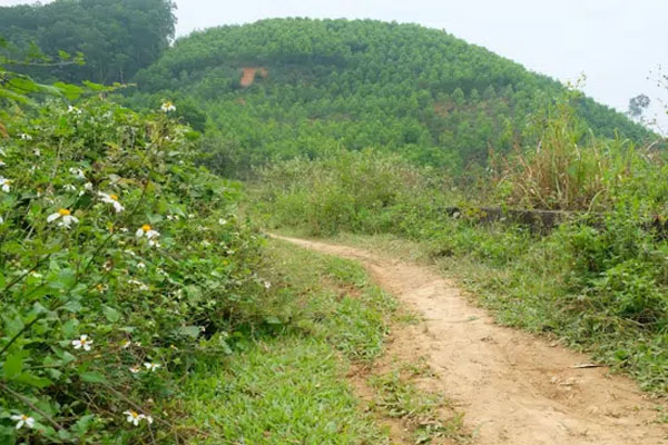 Người đàn ông bị cắt của quý” trên đồi cao su: Tạm giữ hình sự 2 vợ chồng cùng thôn-1