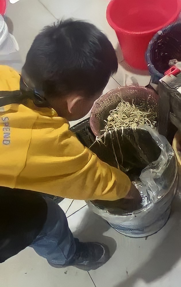 Bị chỉ trích thậm tệ vì để con làm 1 việc không đứa trẻ nào dám làm, người mẹ đưa ra lý do khiến ai nấy vội vàng xin lỗi-1