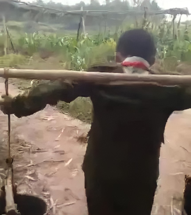 Bị chỉ trích thậm tệ vì để con làm 1 việc không đứa trẻ nào dám làm, người mẹ đưa ra lý do khiến ai nấy vội vàng xin lỗi-2