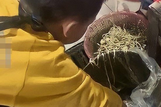 Bị chỉ trích thậm tệ vì để con làm 1 việc 'không đứa trẻ nào dám làm', người mẹ đưa ra lý do khiến ai nấy vội vàng xin lỗi