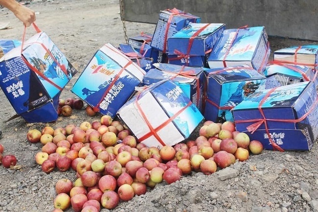 Hoa quả rẻ như cho, táo 5.000 đồng, bưởi 2.000 đồng: Đâu là nguồn gốc thật sự?-1