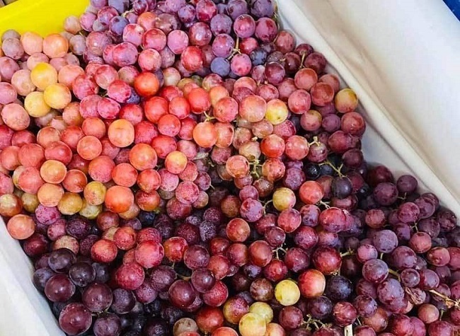 Hoa quả rẻ như cho, táo 5.000 đồng, bưởi 2.000 đồng: Đâu là nguồn gốc thật sự?-5