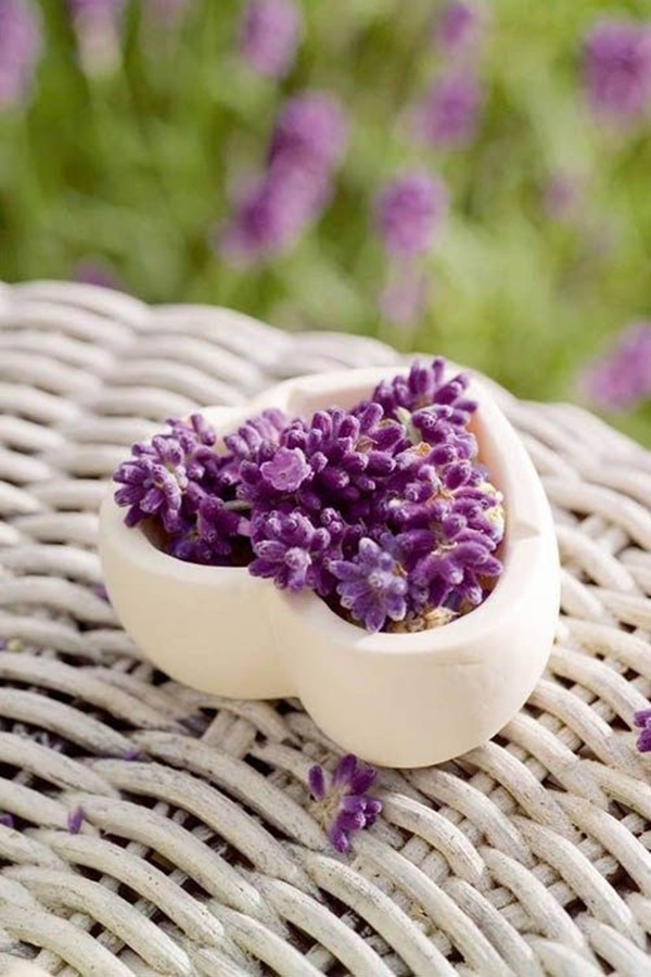 Xem tử vi 12 con giáp thứ 6 ngày 11/12/2020: Tuổi Sửu gặp quý nhân phù trợ, tuổi Dậu tài chính suy giảm-4