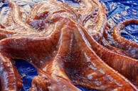 Sơ chế bạch tuộc nặng 20 kg ở chợ hải sản Hàn Quốc
