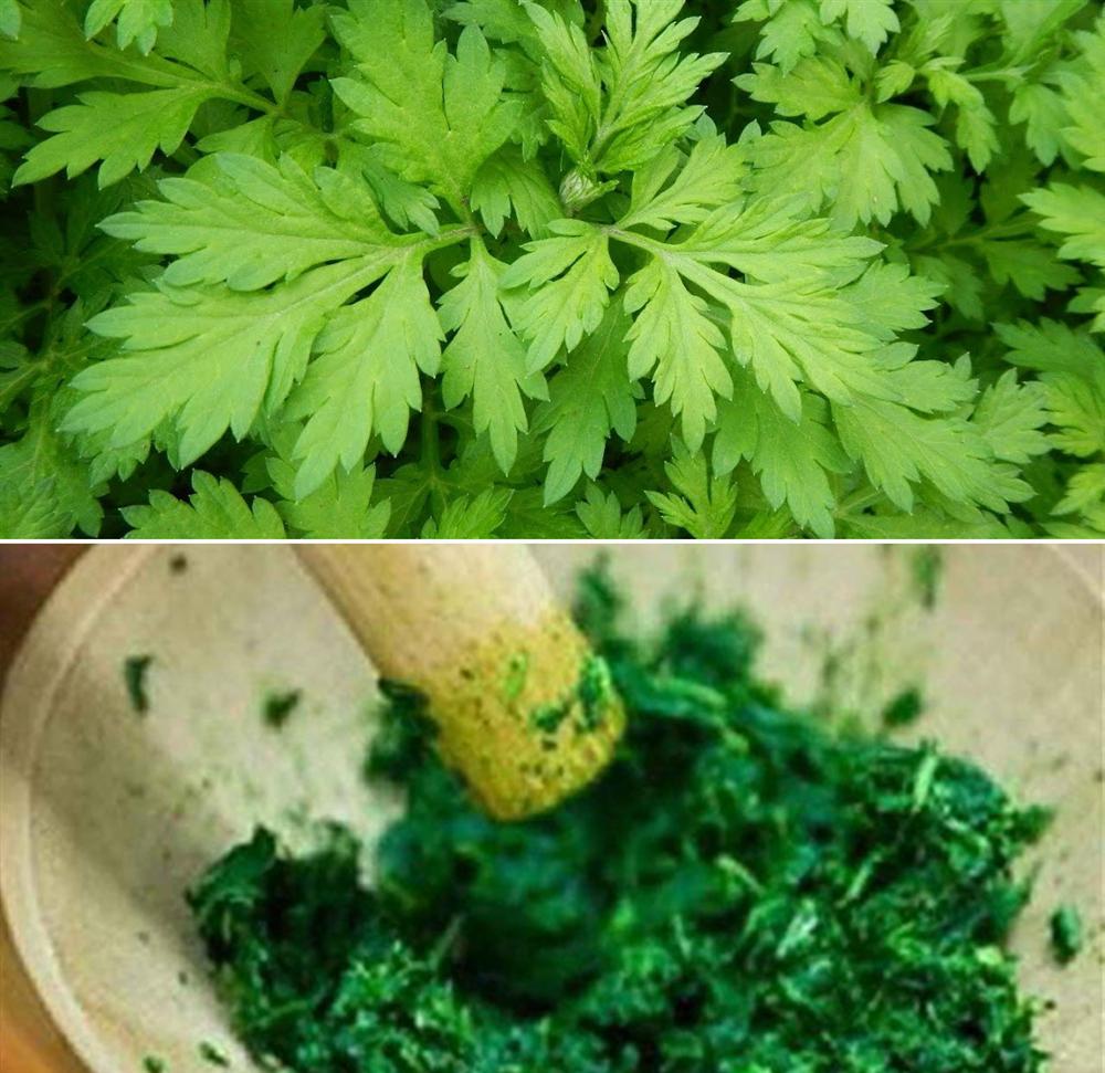 Ngủ dậy cổ bỗng bị đau cứng không quay được, làm thế nào để giải quyết nhanh tình trạng khó chịu này?-8