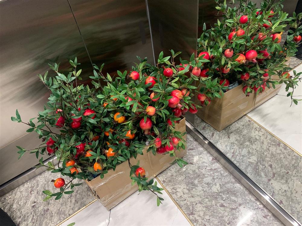 Cành lựu 3 màu phong thủy, chị em bỏ tiền triệu mua trưng Tết-4