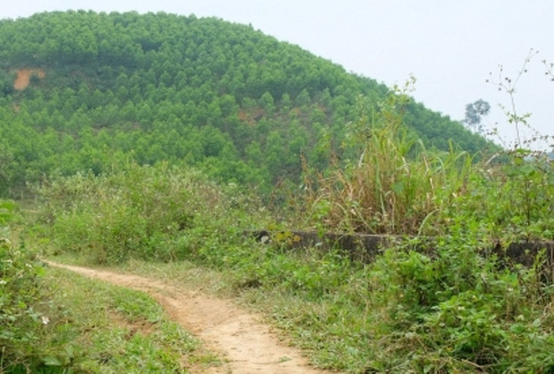 Gia đình người đàn ông bị cắt của quý” trên đồi cao su khốn đốn vì tin đồn ở làng xóm-1