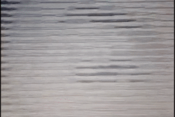 Người hâm mộ tạo nên bức tranh danh hài Chí Tài bằng hàng chục nghìn ký tự để tưởng nhớ, gây ấn tượng mạnh trên Tiktok-1