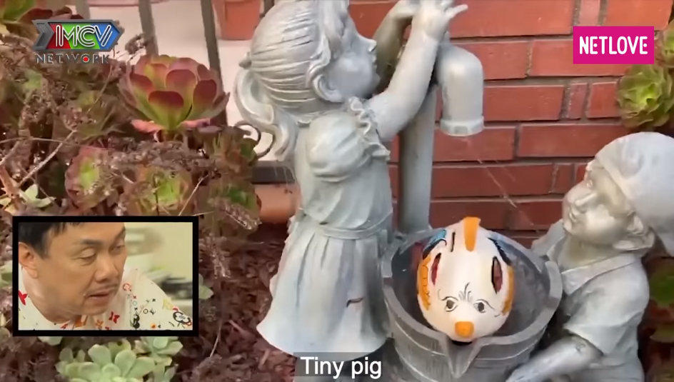 Nhà ở Mỹ mà cố NS Chí Tài luôn muốn quay về gây chú ý: Đâu cũng có heo-3