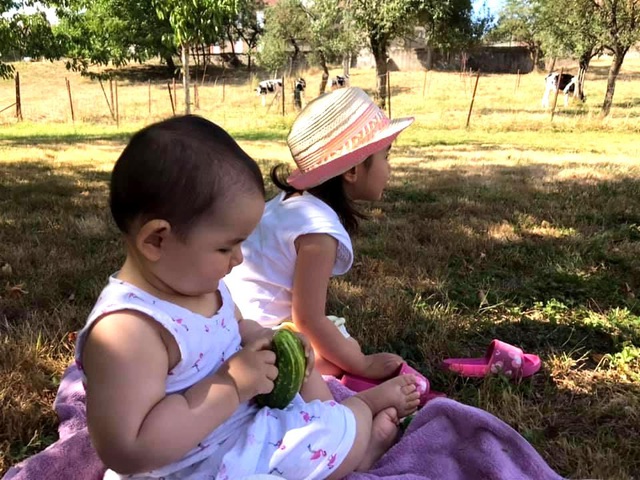 Trang trại trăm loại cây trái trĩu trịt quả của cặp vợ chồng Pháp - Việt-14