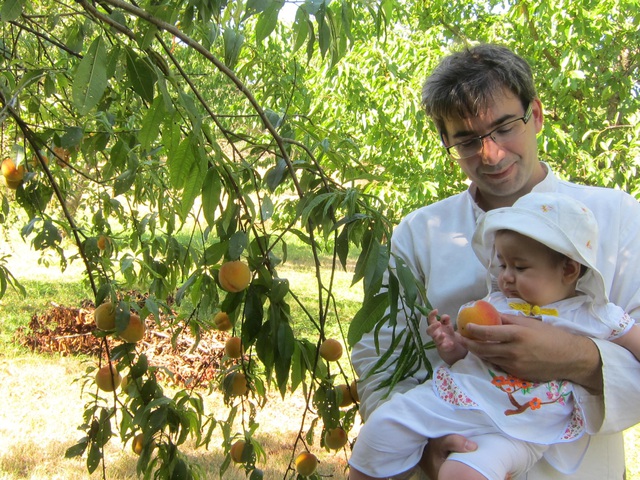 Trang trại trăm loại cây trái trĩu trịt quả của cặp vợ chồng Pháp - Việt-15