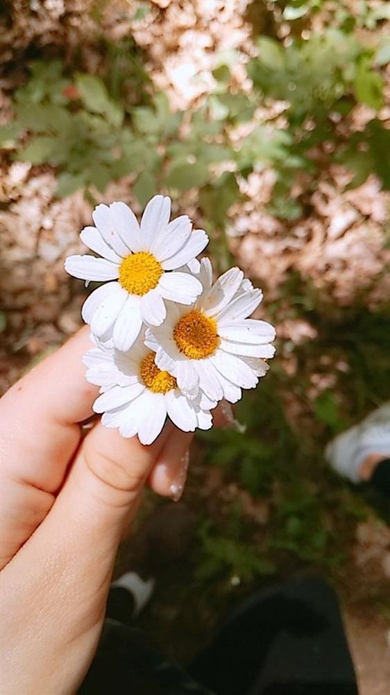 Xem tử vi 12 con giáp thứ 7 ngày 12/12/2020: Tuổi Tý hanh thông, tuổi Thìn dễ gặp tiểu nhân-4