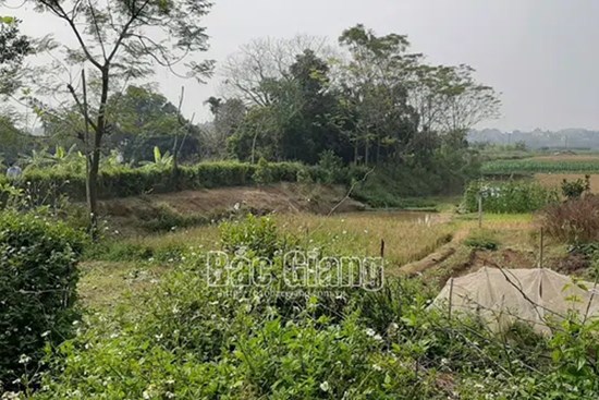 Vụ đôi nam nữ tử vong trong lều trông cá ở Bắc Giang: Đâm chết người tình rồi tự tử?