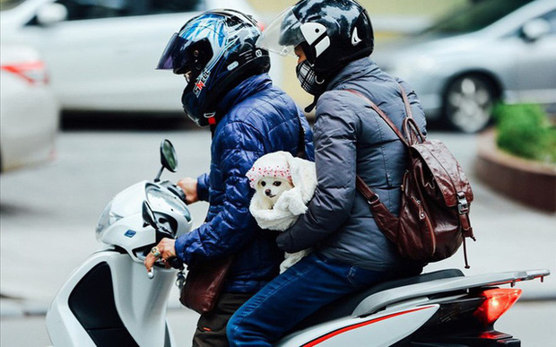 Miền Bắc sắp đón đợt rét đậm rét hại mạnh nhất từ đầu mùa, Hà Nội lạnh buốt chỉ 11 độ C-1