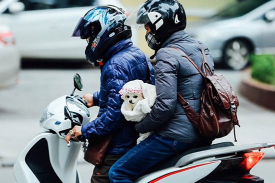 Miền Bắc sắp đón đợt rét đậm rét hại mạnh nhất từ đầu mùa, Hà Nội lạnh buốt chỉ 11 độ C