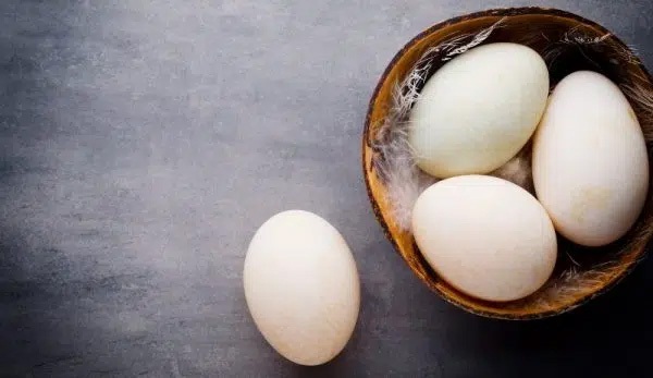 10 lý do khiến trứng vịt được coi là ngon bổ hơn trứng gà nhưng đừng quên khuyến cáo này của chuyên gia-1