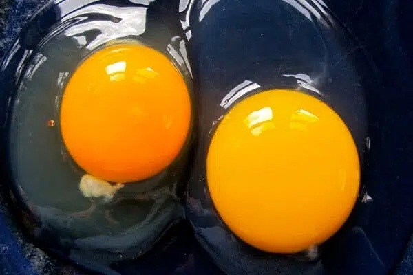 10 lý do khiến trứng vịt được coi là ngon bổ hơn trứng gà nhưng đừng quên khuyến cáo này của chuyên gia-5