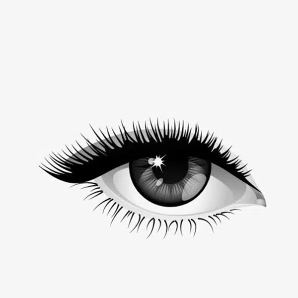 Phụ nữ mang mệnh phu nhân thường sở hữu những đặc điểm này, không chỉ nổi tiếng mà còn khí chất, cả đời không lo cơm áo gạo tiền-2