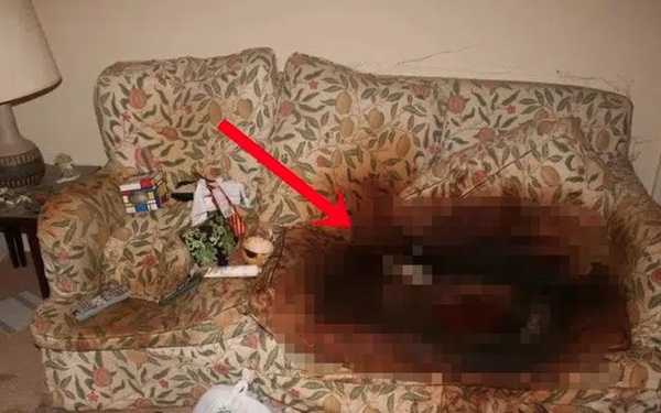 Phát hiện cụ bà chết 5 ngày trên sofa bẩn thỉu, cảnh sát lập tức bắt giữ cô con gái, vạch trần tội ác khó dung thứ-3