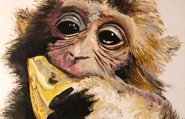 Tử vi 49 ngày tới: 3 con giáp được chấm tên trong sổ Ngọc Hoàng, làm gì cũng phát tài-1