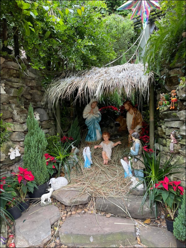 Đàm Vĩnh Hưng trang hoàng biệt thự đón Giáng sinh cực lộng lẫy, độ chịu chơi đúng là khó ai sánh bằng!-6