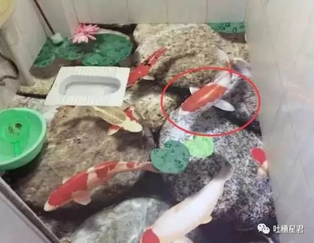 Những thiết kế nhà vệ sinh đi vào lòng đất”: Ngốc thật hay ngốc giả vờ vậy?-5