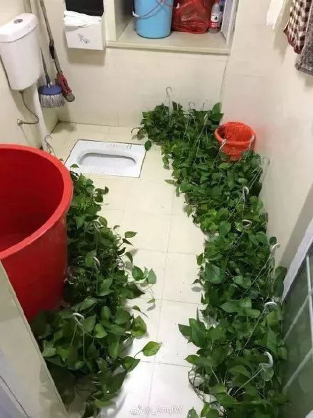 Những thiết kế nhà vệ sinh đi vào lòng đất”: Ngốc thật hay ngốc giả vờ vậy?-6