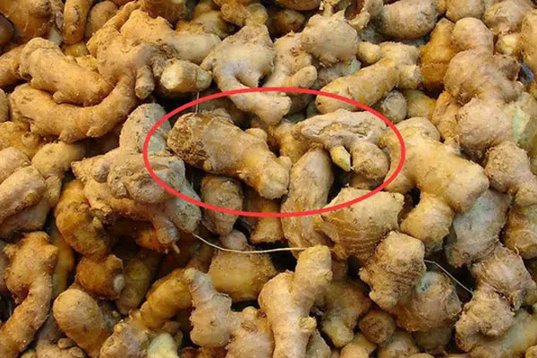 Khi ho kèm theo 2 triệu chứng này nghĩa là ung thư phổi đang bắt đầu xuất hiện, khuyến nghị đi khám lập tức-4