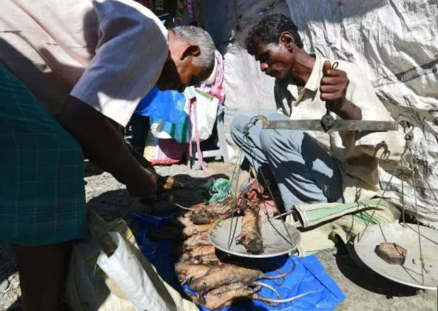 Ở nơi thịt chuột được coi là đặc sản tuyệt đỉnh kungfu còn phổ biến hơn gà hay lợn-2