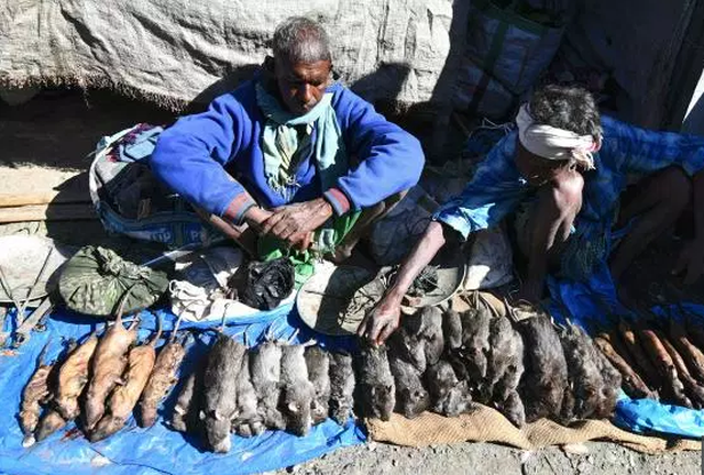 Ở nơi thịt chuột được coi là đặc sản tuyệt đỉnh kungfu còn phổ biến hơn gà hay lợn-5