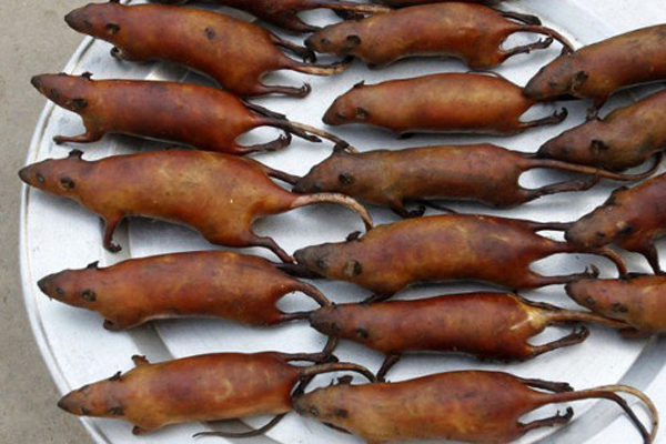 Chợ chuột đồng ở vùng biên bán bao nhiêu mua hết bấy nhiêu-4