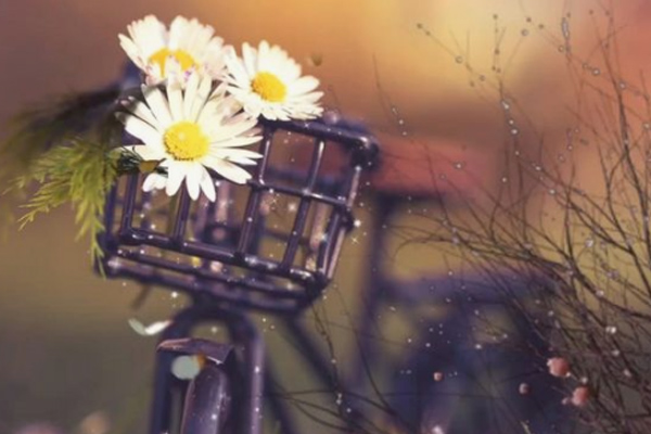 Tháng 11 âm lịch hoan hỷ, 3 con giáp này đến lúc được quý nhân để mắt, cuối năm khó khăn được giải quyết và tìm được cơ hội kiếm tiền-4