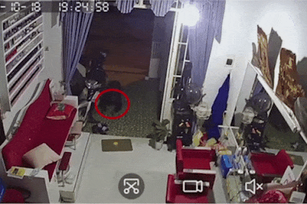 Mất đôi dép, chủ nhà kiểm tra camera thì 