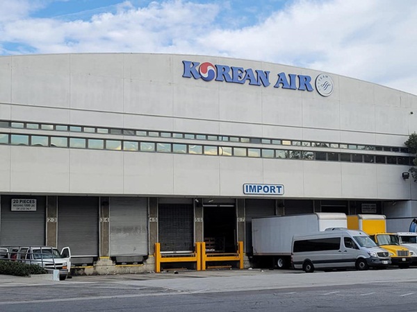 Chị Loan không đi là đúng vì nếu thấy hình ảnh đó, tôi sợ chị sẽ quá xúc động-2