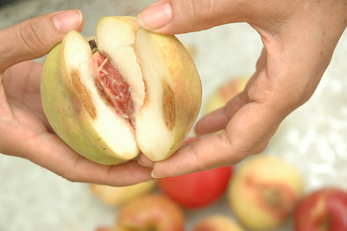 7 thói quen tưởng chừng rất sạch sẽ&nbsp;nhưng lại tiềm ẩn nguy cơ gây hại cho sức khỏe, dùng lồng bàn đậy thức ăn và gấp chăn bông ngay sau khi vừa thức dậy lọt top-3