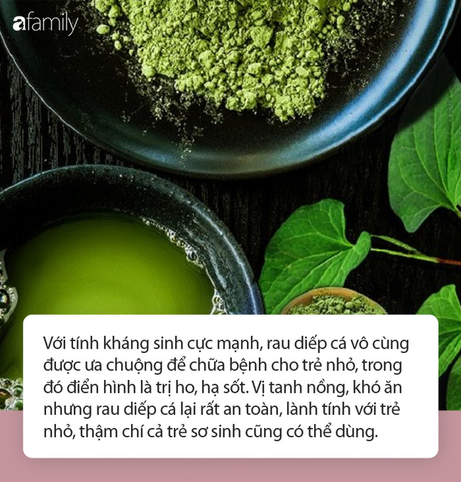 Thứ rau có mùi tanh mà nhiều người sợ hãi hóa ra lại là thuốc đặc trị giúp hạ sốt trong một nốt nhạc cho con bạn-2