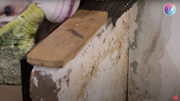 Bỏ phố về quê, cặp vợ chồng cải tạo chuồng lợn thành nơi an dưỡng tuổi già, mở cả hiệu sách để thoả mãn đam mê-2