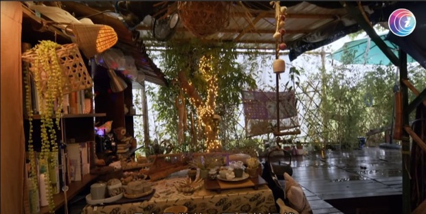 Bỏ phố về quê, cặp vợ chồng cải tạo chuồng lợn thành nơi an dưỡng tuổi già, mở cả hiệu sách để thoả mãn đam mê-8