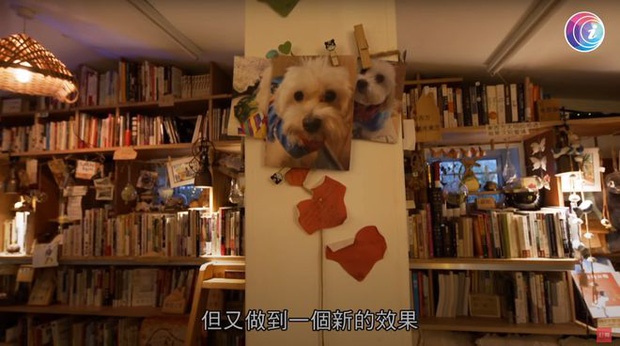 Bỏ phố về quê, cặp vợ chồng cải tạo chuồng lợn thành nơi an dưỡng tuổi già, mở cả hiệu sách để thoả mãn đam mê-12