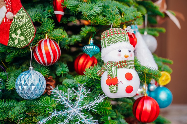 Thông Mỹ đi máy bay, vừa về Việt Nam đã cháy hàng-2