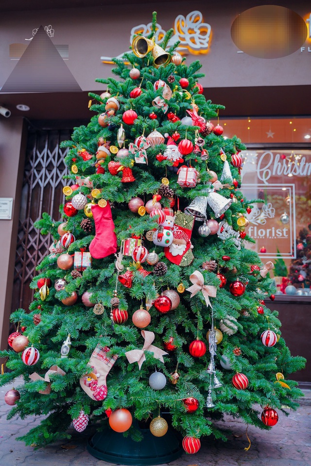 Thông Mỹ đi máy bay, vừa về Việt Nam đã cháy hàng-4