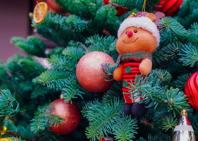 Thông Mỹ đi máy bay, vừa về Việt Nam đã cháy hàng-3