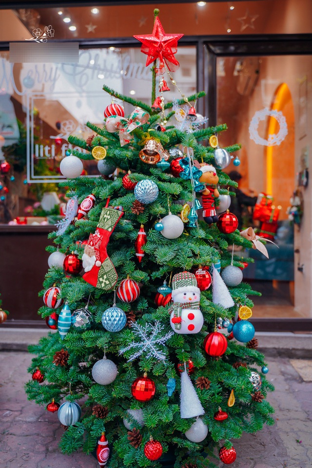 Thông Mỹ đi máy bay, vừa về Việt Nam đã cháy hàng-5