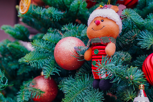 Tùng thơm mini giống hệt cây thông đắt khách Noel 2020-4