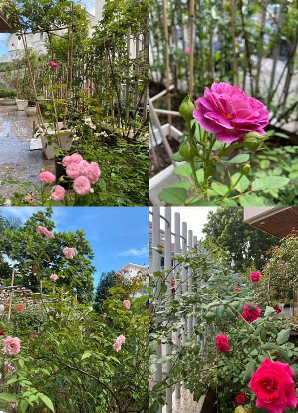 Biệt thự triệu đô sang xịn, ngập tràn hoa của diễn viên Quý Bình và bà xã doanh nhân-7