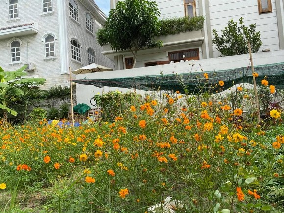 Biệt thự triệu đô sang xịn, ngập tràn hoa của diễn viên Quý Bình và bà xã doanh nhân-14