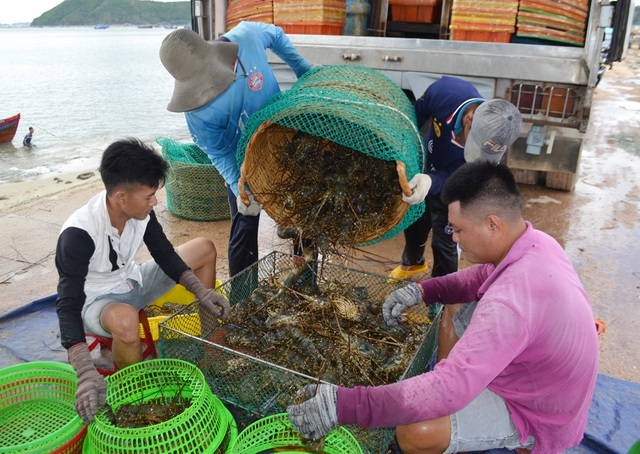 2020 đại hạ giá: Hải sản ‘nhà giàu’ tràn vỉa hè, mua cả mâm về ăn-1
