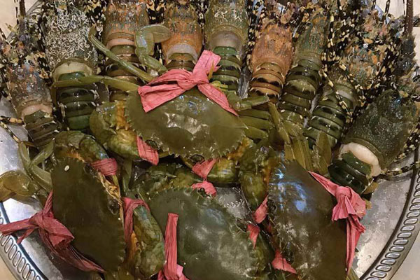 Ghé khu chợ này bạn mua được hải sản kích thước khủng rẻ hơn rau, tôm hùm siêu to khổng lồ về tay chỉ 100 nghìn/kg-10